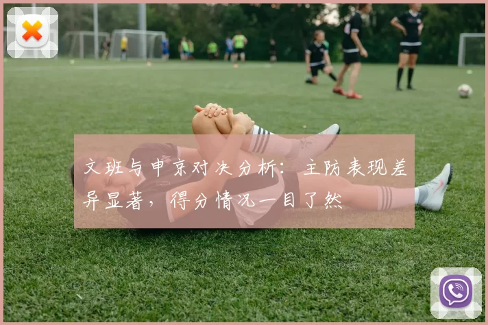 文班与申京对决分析：主防表现差异显著，得分情况一目了然